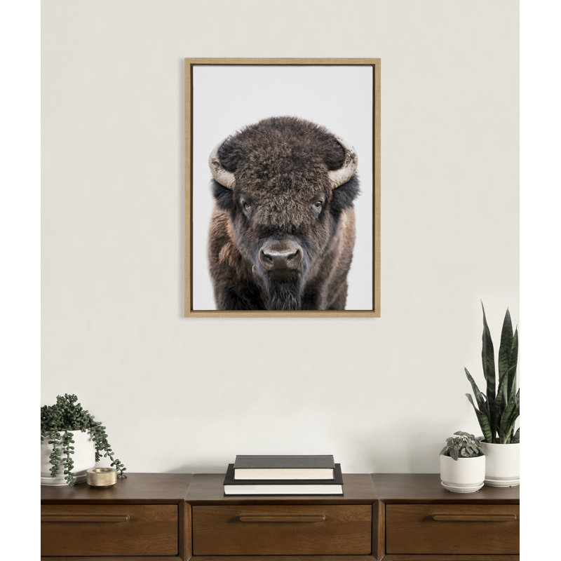«Bison Portrait Black and White» par Amy Peterson, reproduction d'art sur toile encadrée, L 18 po x H 24 po, Gris foncé