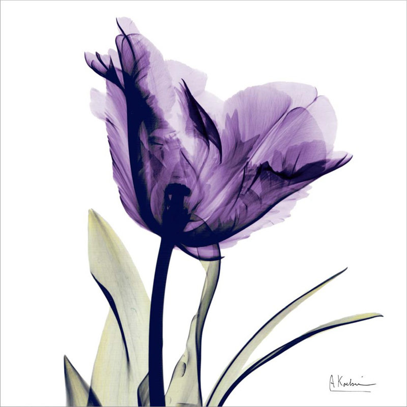 Plants & Flowers Wall Decor on Canvas