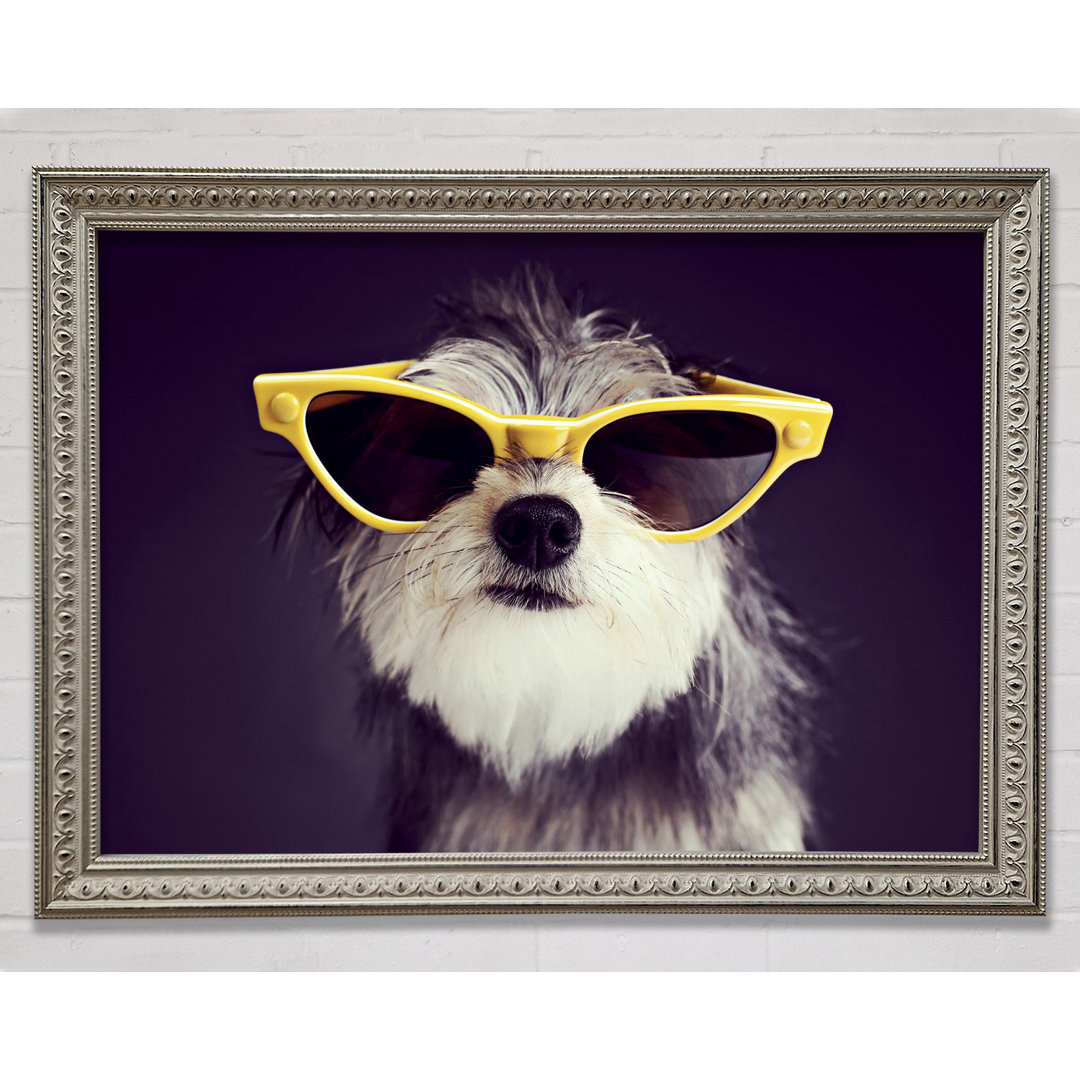 Sonnenbrille Hund Pooch Gerahmter Druck Wandkunst