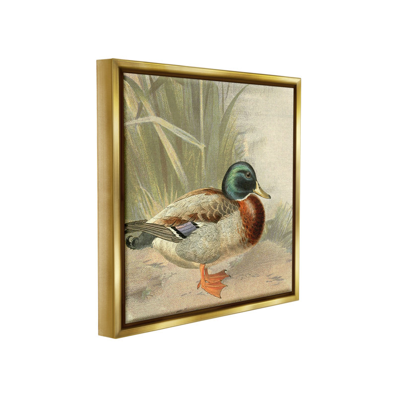 «Traditional Duck And Pond» par Gail Fraser sur, Cadre flottant métallique doré, H 18 po x l 18 po