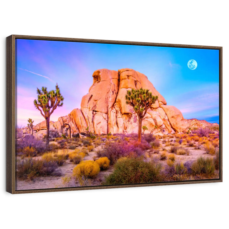 Joshua Tree National Park, Cadre flottant noyer, 43 po x 29 po