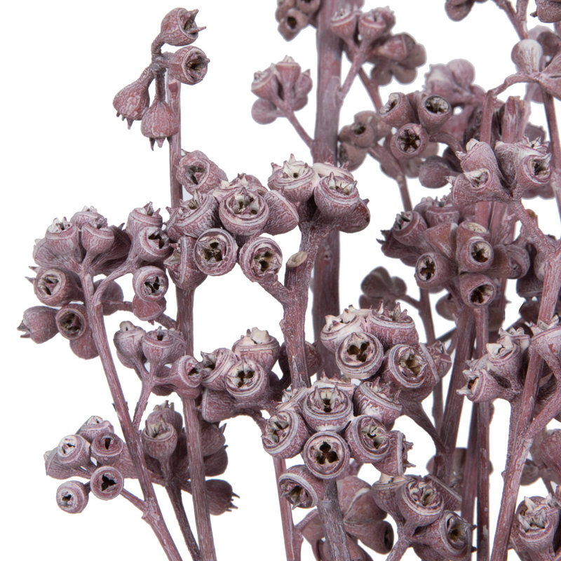 Branche de feuillage préservé de 13 po, Rose Erika