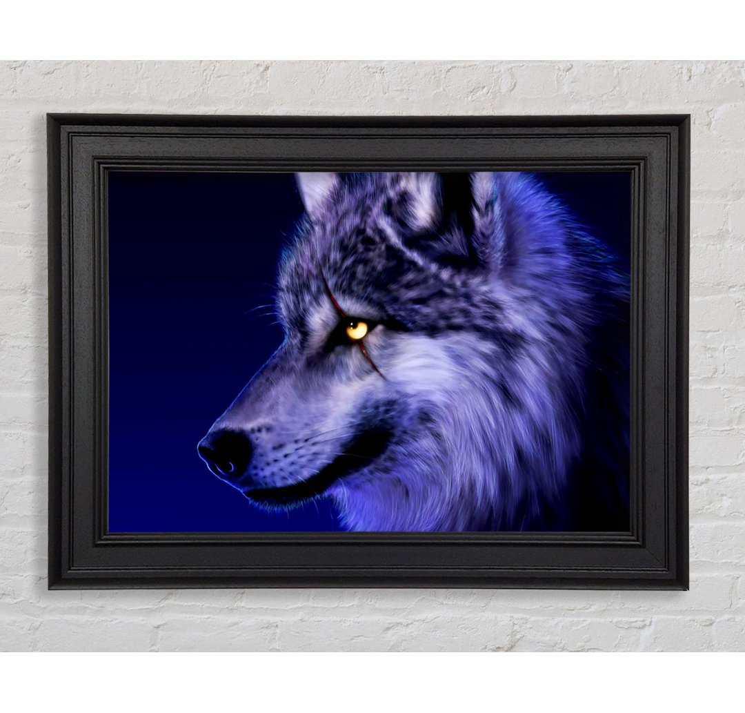 Blaues Wolfsauge - Druck