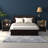 Molina 19.7'' W Nightstand-1700516422