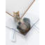 Marche pour chat pour coin