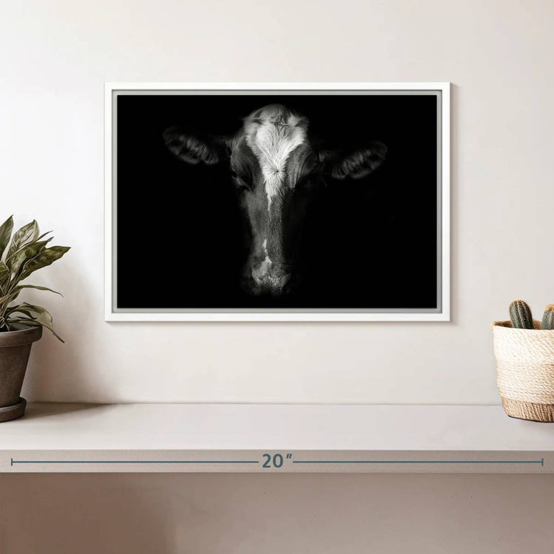 Visage de vache monochrome, Cadre flottant blanc, 13 po x 9 po