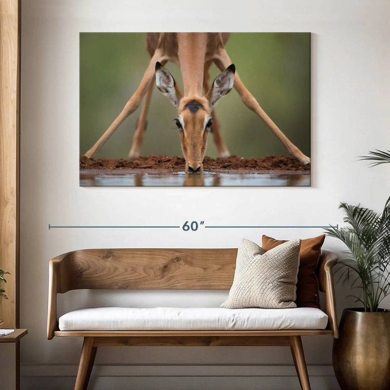 Brampt Drinking Deer, 32" H x 48" W