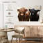 Brampt Hairy Highland Cows-106322890