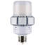 65 Watt White LED Bulb