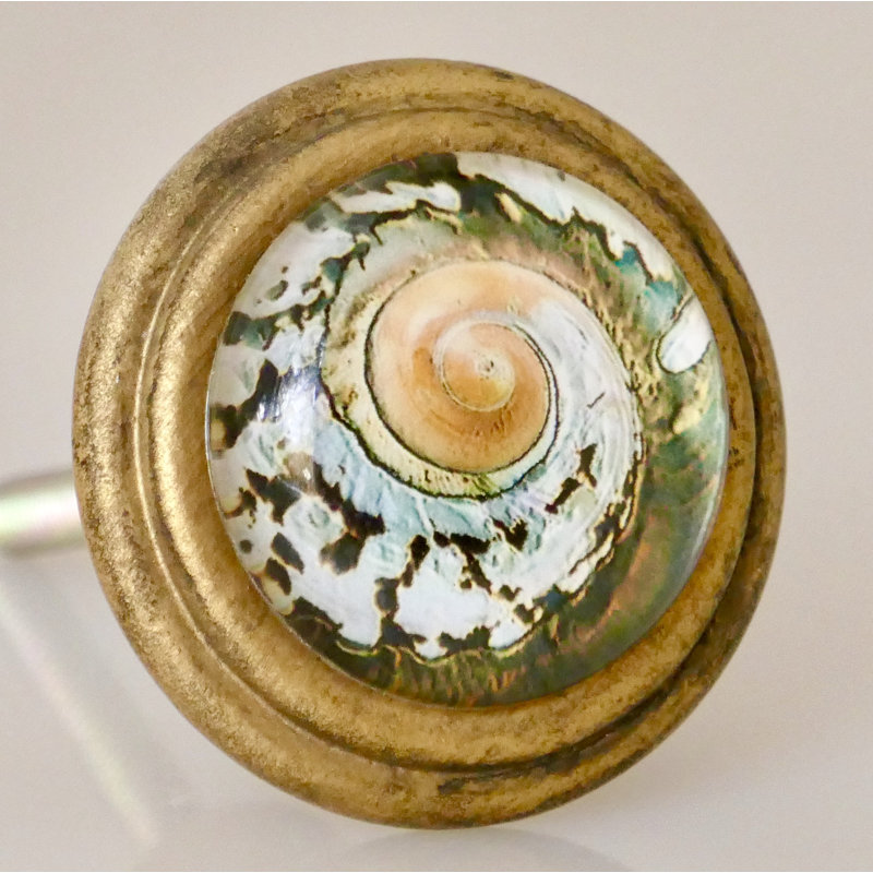 Poignée de coquillage Seasilell Art (ensemble de 4) 