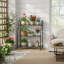 Plant Stand