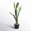 Cactus artificiel en pot-515654070