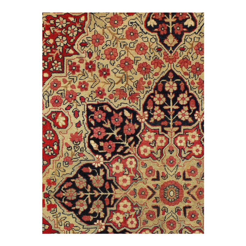 Oriental Area Rug