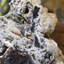 Mimétite botryoïde avec aragonite - Mine de Bilbao, Mexique