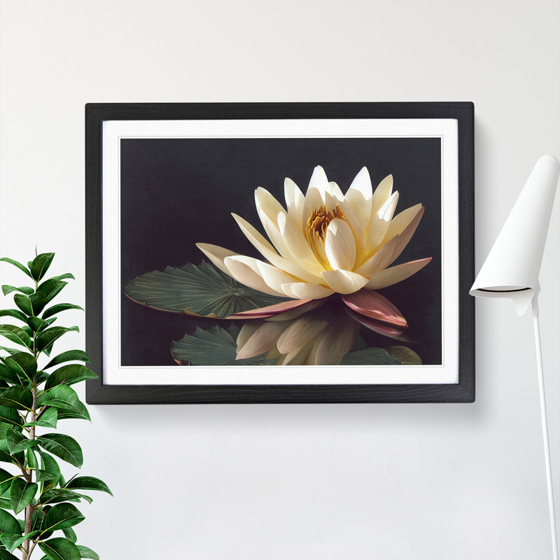 Sparkling Water Lily Flower - Framed Print, 25cm H x 34cm W x 2cm D, Black