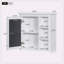 Pharmacie murale 30 "x 28"-354428250