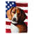American Foxhound
