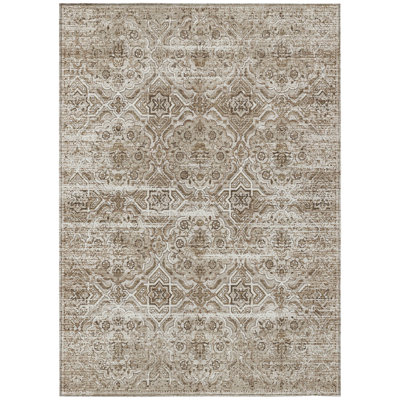 Machine Washable Indoor/Outdoor Chantille ACN2706 Global Rug