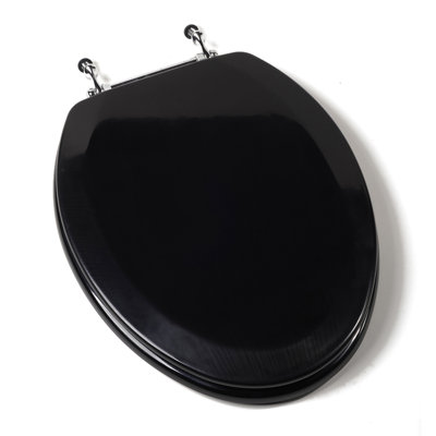 Elongated Toilet Seat and Lid