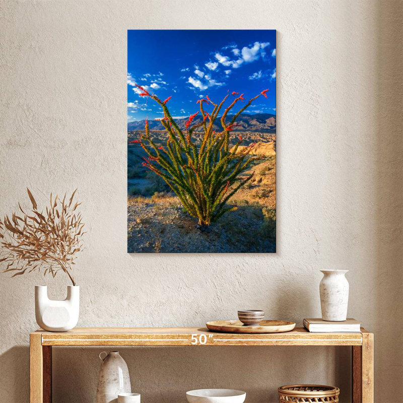 Harnek Ocotillo In Anza Borrego, 36" H x 24" W