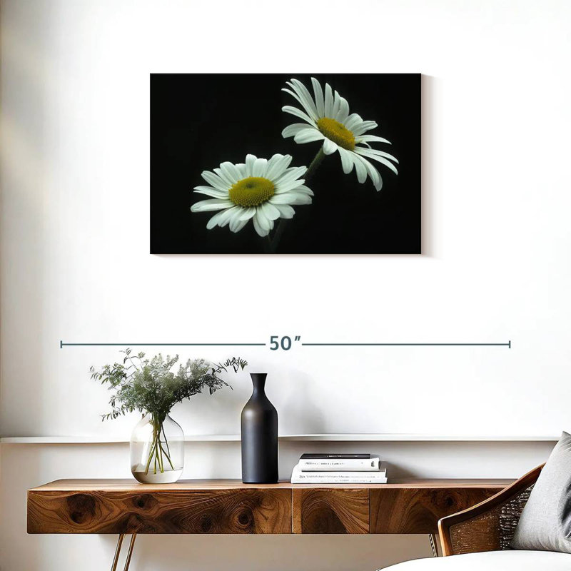 Grande marguerite Harnek Leucanthemum Vulgare, H 20 po x l 30 po