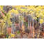 Swan Valley Autumn Portrait #1 by Bruce Heinemann-92903737-92903722-92903727