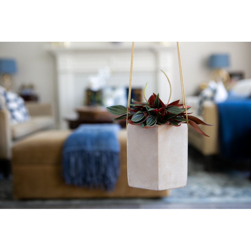5.5 in. Hanging Hardware Planter