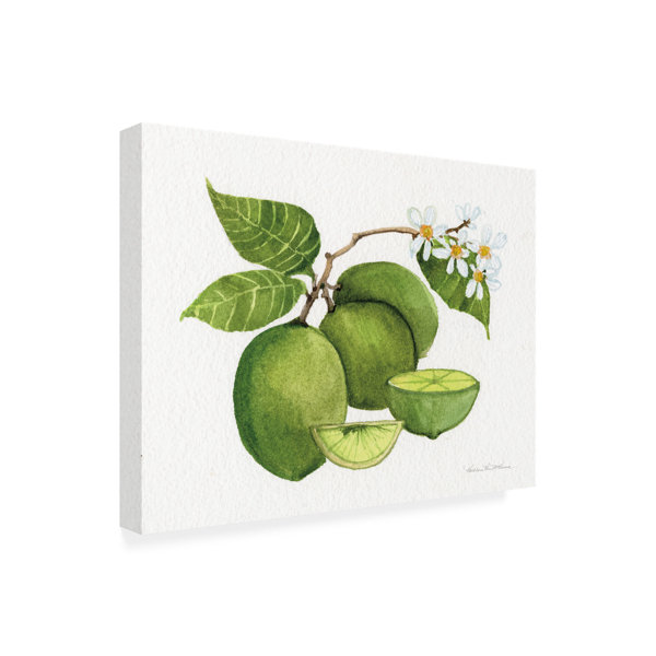 Red Barrel Studio® " Citrus Garden IV " by Kathleen Parr McKenna ...