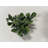 Artificial Hedge, size 24" X 16"
