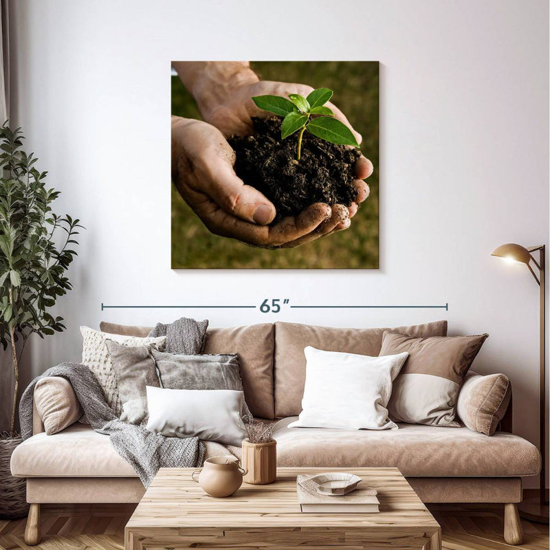Senne New Seedling Sprouting, 39" H x 39" W