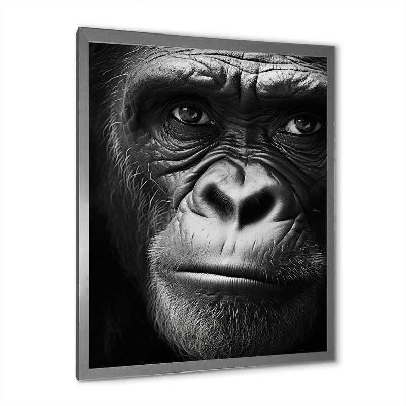 La matriarche gorille sur toile, Cadre simple argenté, H 20 po x l 12 po x P 1 po