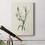 «Traditional Botanical IV», impression sur toile tendue-1109877876