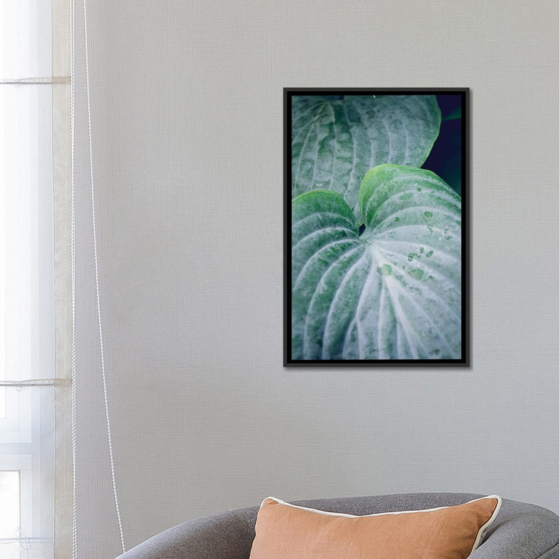 « feuilles iii », reproduction d’impression sur toile, H 26 po x l 18 po x P 1,5 po, Toile avec cadre noir, Pas de tapis