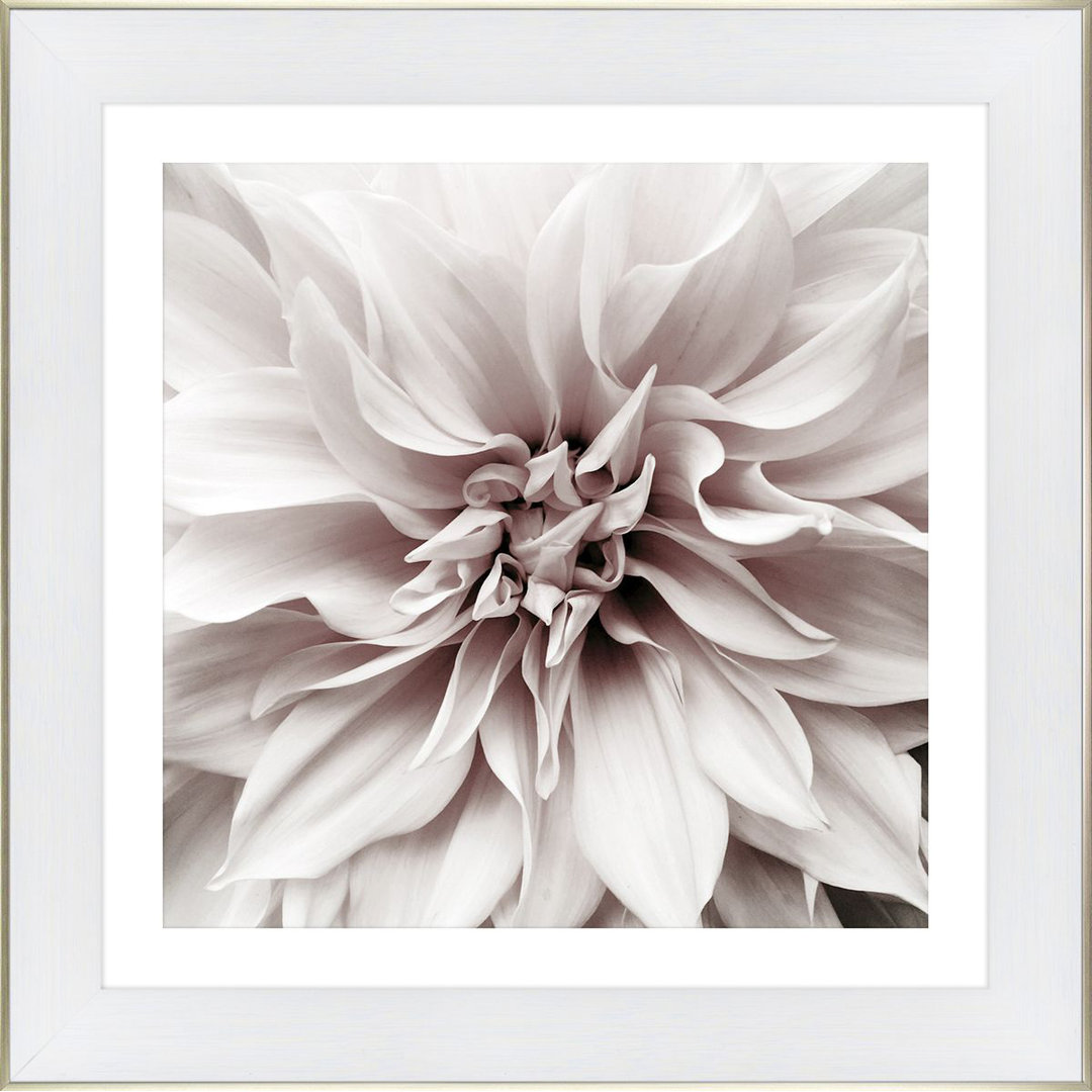 Gerahmtes Poster White Flower No. 1