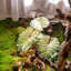 Plante artificielle 19,6 po