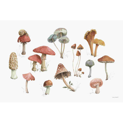 Mélange de champignons 01