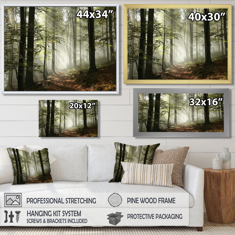 Forest Canvas Wall Art - Forg Light in The Forest Print, 12" H x 20" W, Wrapped Canvas, No Frame