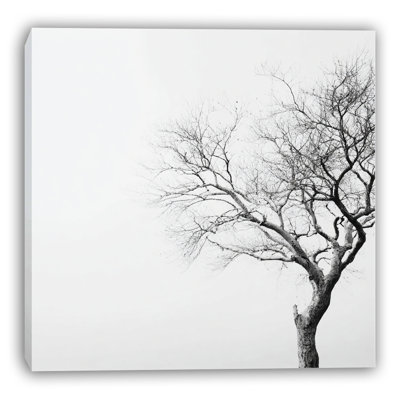 Art mural sur toile Bare Elegance