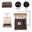 Tourne-disque décoratif-64611189