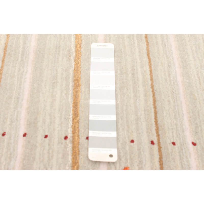 Tapis unique en laine noué à la main gris clair nouvel âge 6 pi 3 po x 9 pi 5 po Jimmye