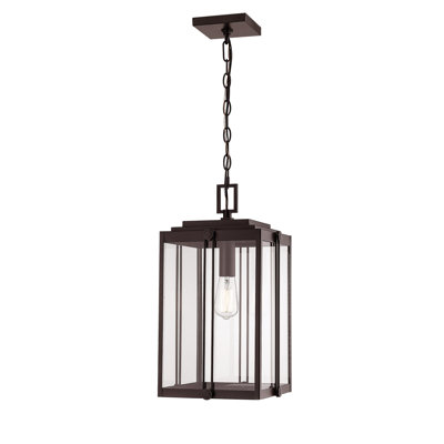 Ellert Outdoor Hanging Lantern