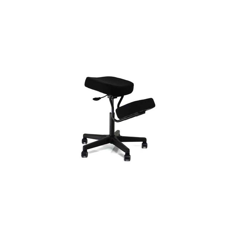Fauteuil à hauteur réglable Wasson Plus