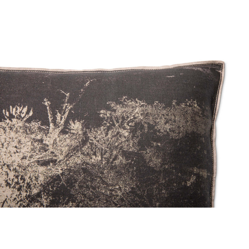 Aloe Hill - Printed