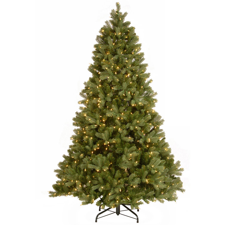 The Holiday Aisle® Downswept Douglas Fir Tree with Dual Color LED Lights