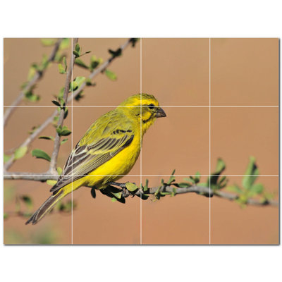 Murale en céramique satinée Bird Photo 12 po x 12 po Bird