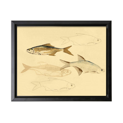 Croquis de poisson