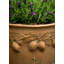 Zachariah Fiberglass Planter-14486339