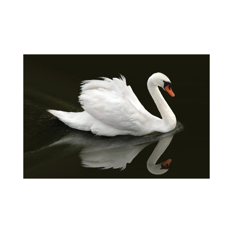 Swan by Ben Heine - Wrapped Canvas Print, 66.04 cm H x 45.72 cm W x 1.91 cm D