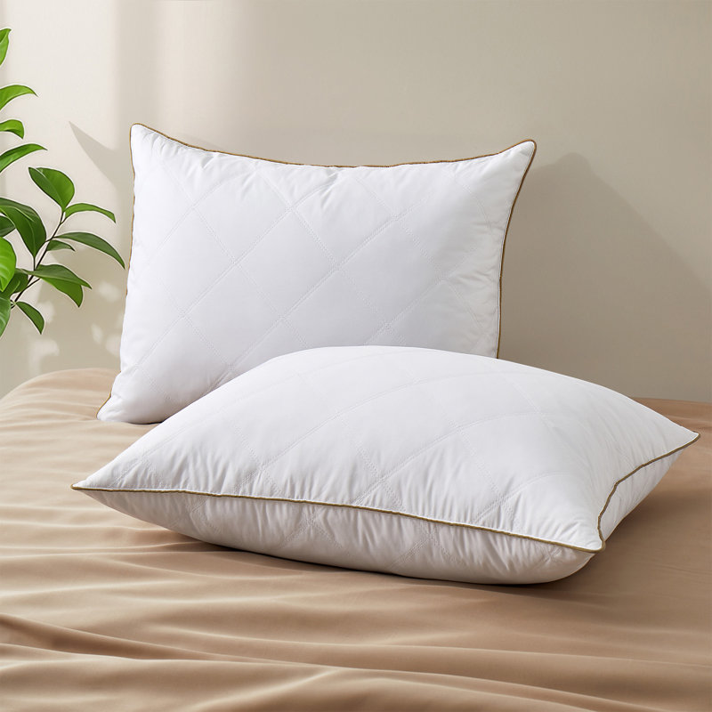 Oreiller luxueux en plumes d'oie - Housse 100% polyester hypoallergénique et rembourrage de qualité supérieure pour un sommeil réparateur