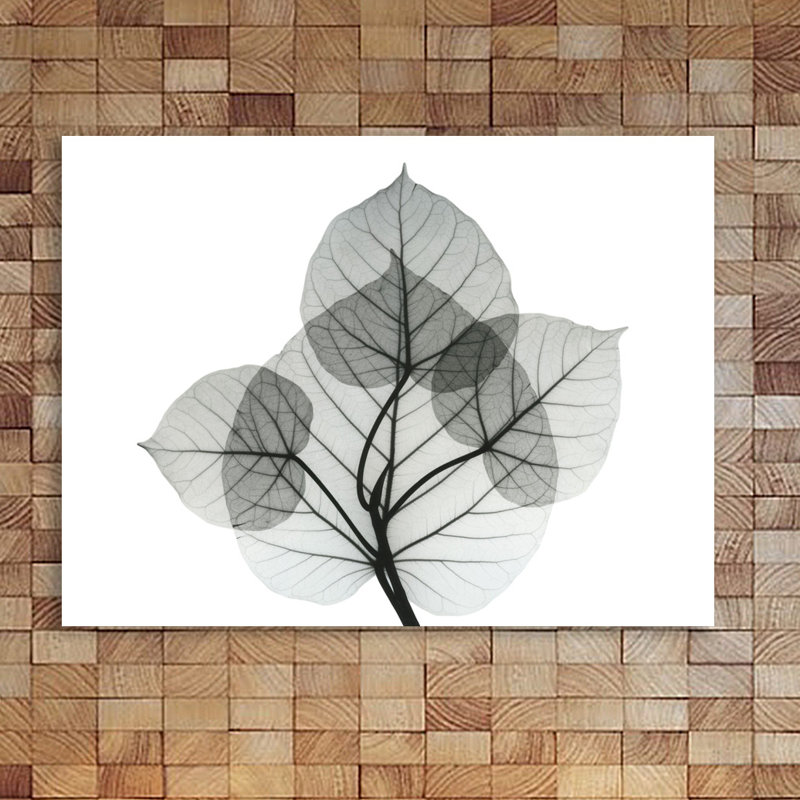 Bo Leaves I - Wrapped Canvas Print, 30 cm H x 41 cm W